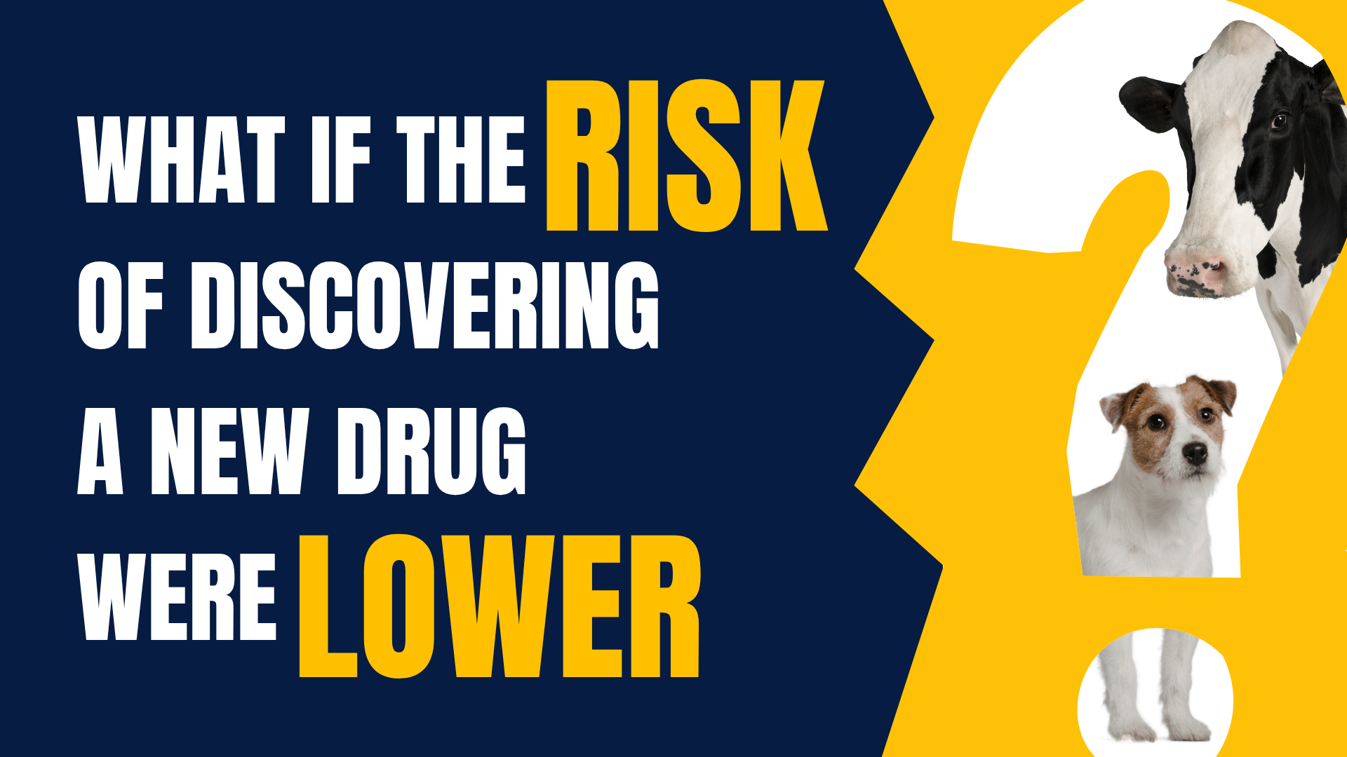 What if the risk of discovering a new drug were lower